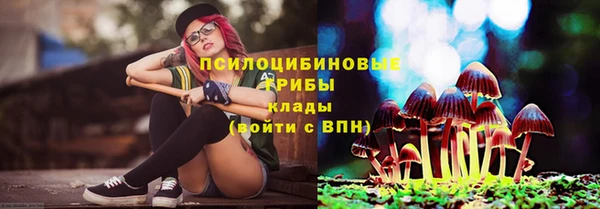 крисы Кинешма