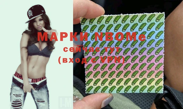крисы Кинешма