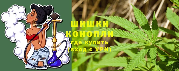 дмт Киреевск