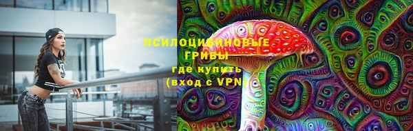 дмт Киреевск