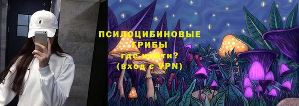 дмт Киреевск