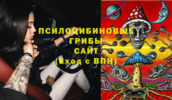 крисы Кинешма