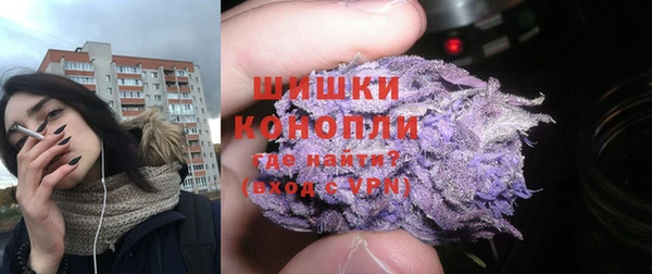 дмт Киреевск