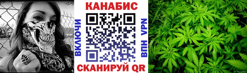 Бошки марихуана индика  где продают наркотики  Рязань 